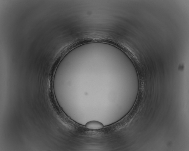 X0000090420733200707130946
