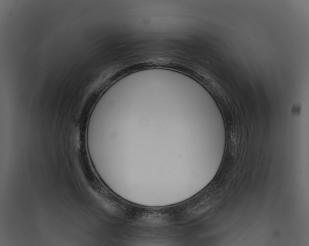 X0000090420734200707130946
