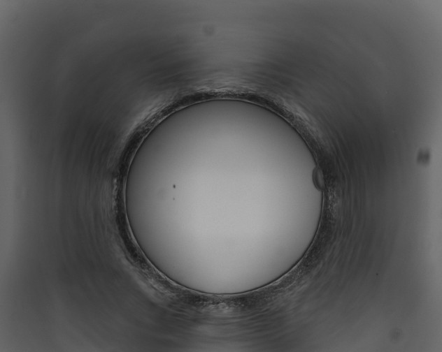 X0000090420735200707130946