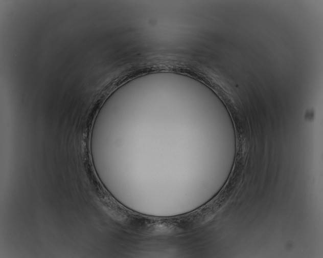 X0000090420737200707130946
