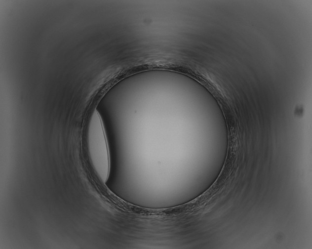X0000090420738200707130946