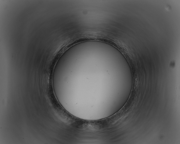 X0000090420739200707130946