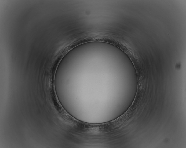 X0000090420740200707130946