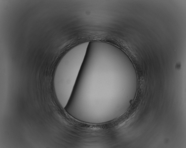X0000090420741200707130946