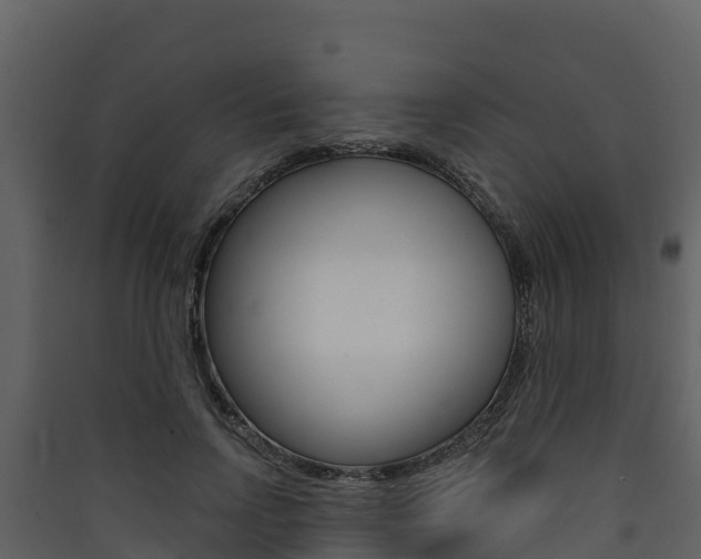 X0000090420742200707130946