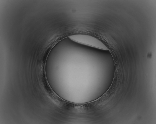 X0000090420744200707130946