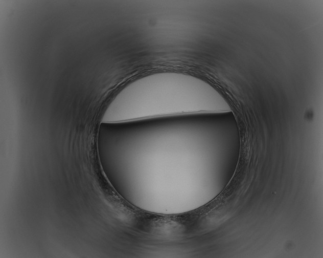 X0000090420747200707130946
