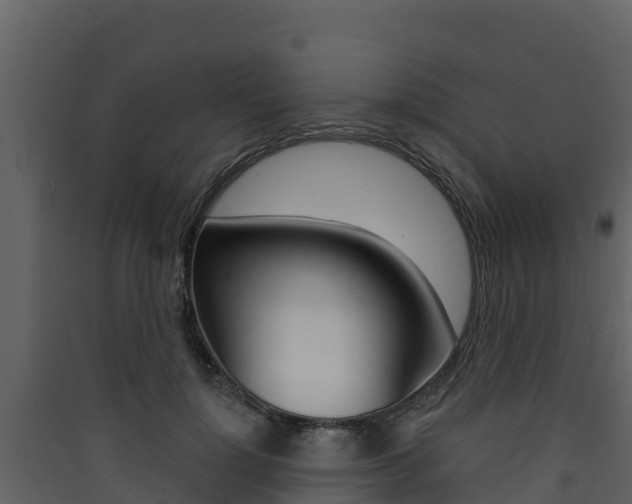 X0000090420748200707130946