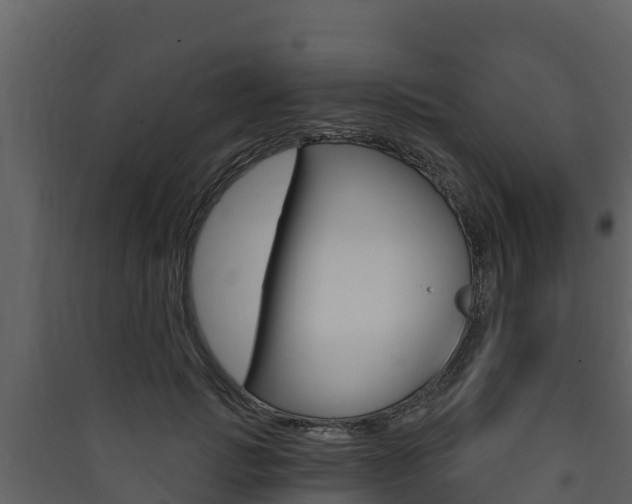 X0000090420749200707130946