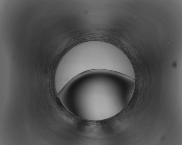 X0000090420750200707130946