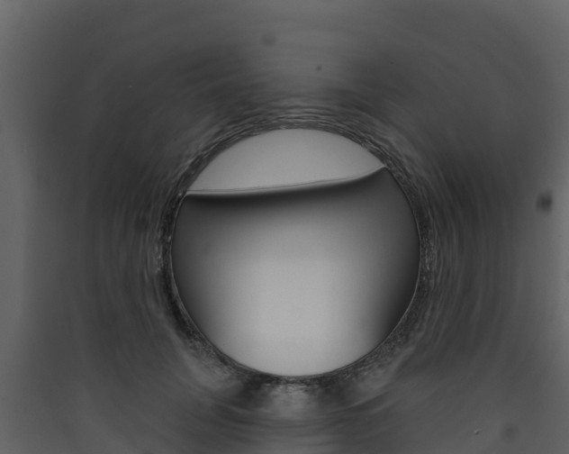 X0000090420751200707130946