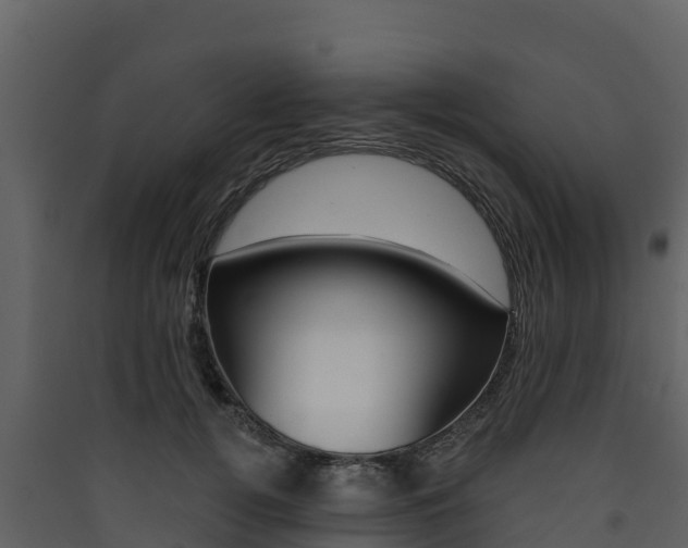 X0000090420752200707130946