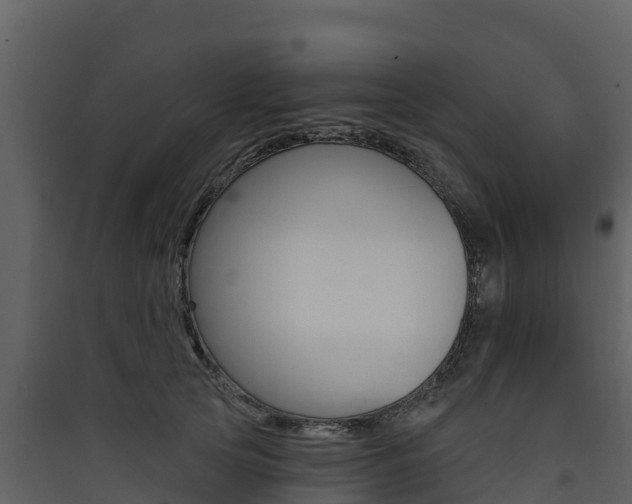 X0000090420753200707130946