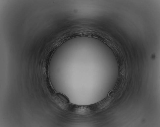 X0000090420754200707130946