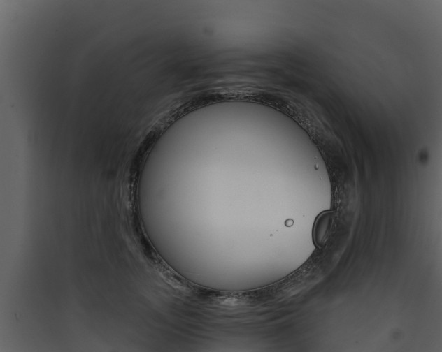 X0000090420755200707130946