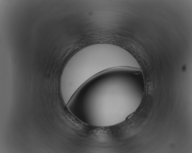 X0000090420756200707130946