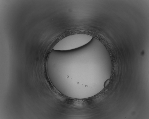 X0000090420757200707130946