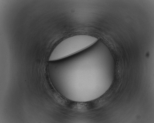 X0000090420758200707130946