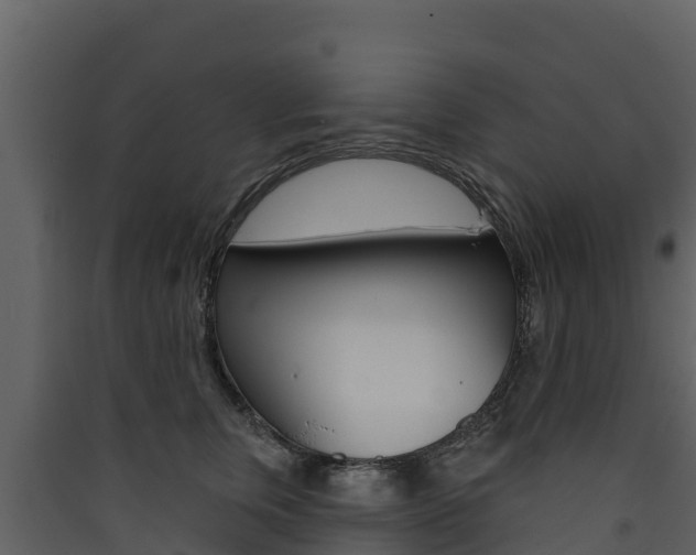 X0000090420759200707130946
