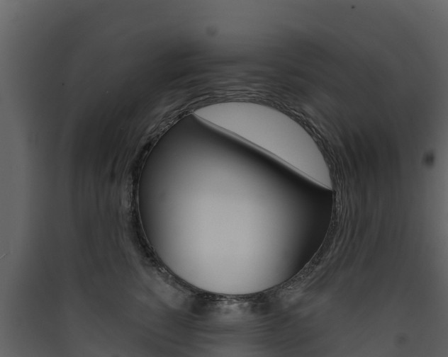 X0000090420760200707130946
