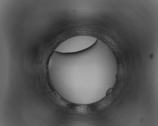 X0000090420761200707130946