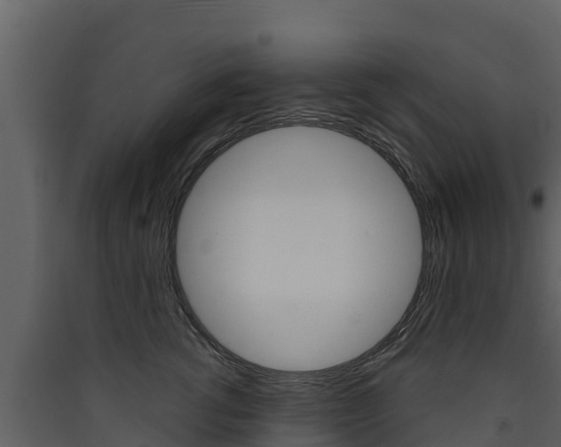 X0000090420762200707130946