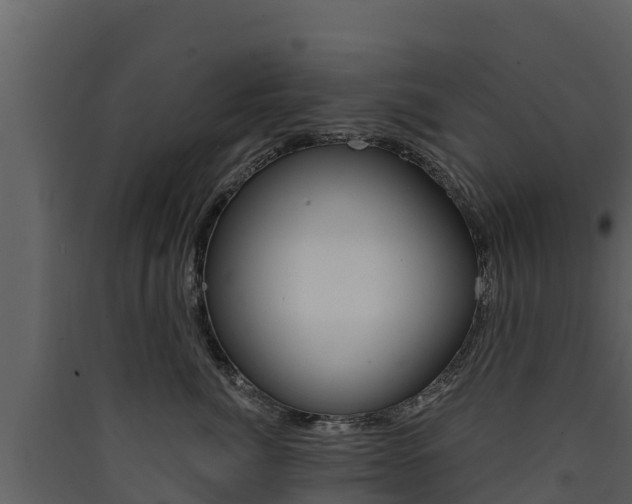 X0000090420764200707130946