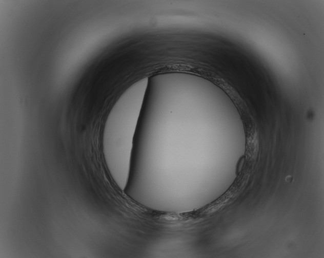 X0000090420765200707130946