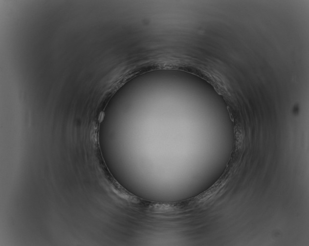 X0000090420766200707130946