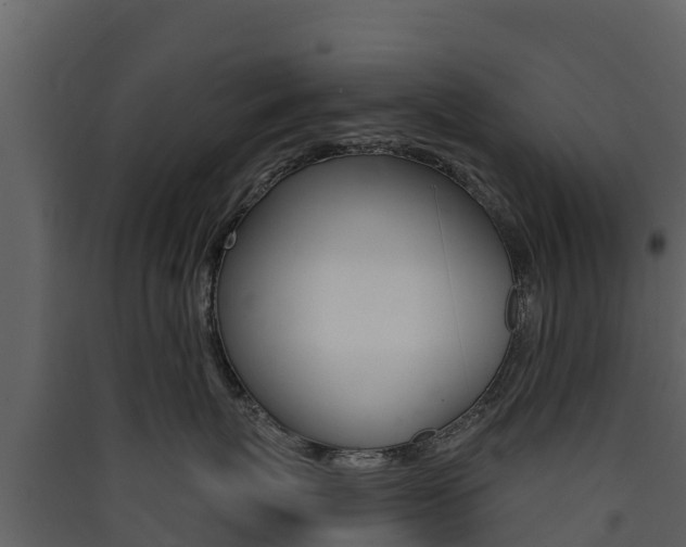 X0000090420767200707130946