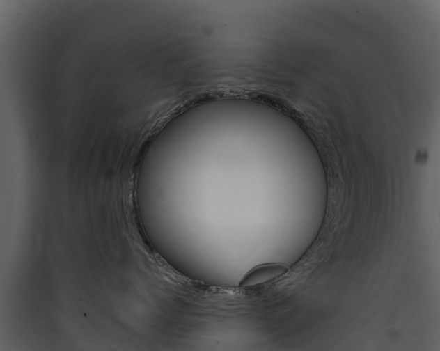 X0000090420768200707130946
