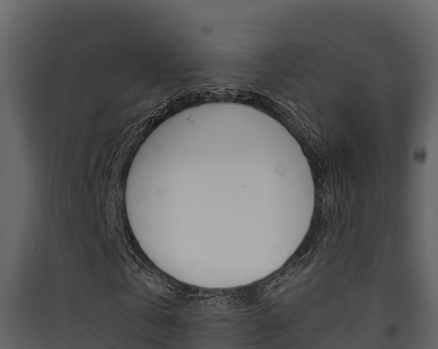X0000090420769200707130946