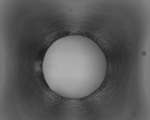 X0000090420770200707130946