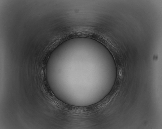 X0000090420771200707130946