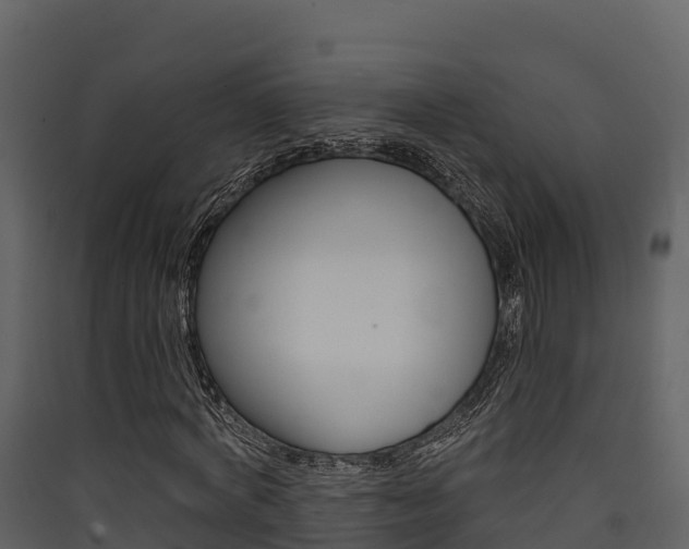 X0000090420772200707130946