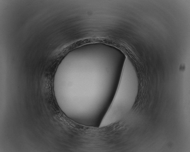 X0000090420773200707130946