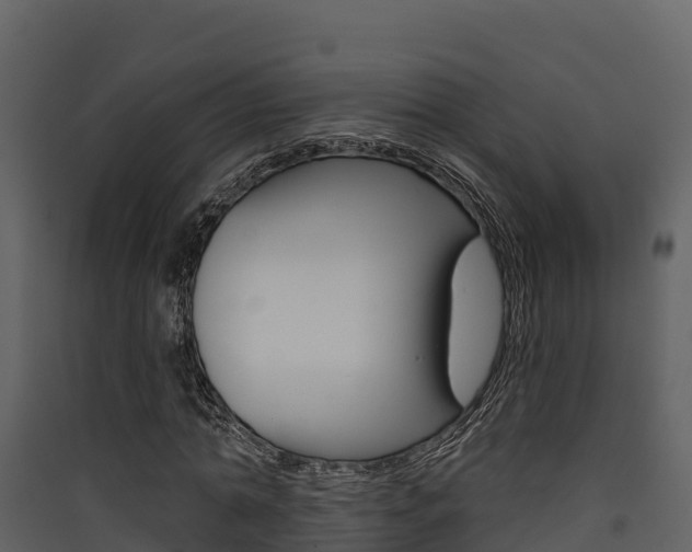 X0000090420774200707130946