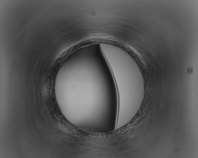 X0000090420775200707130946