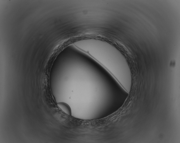 X0000090420776200707130946