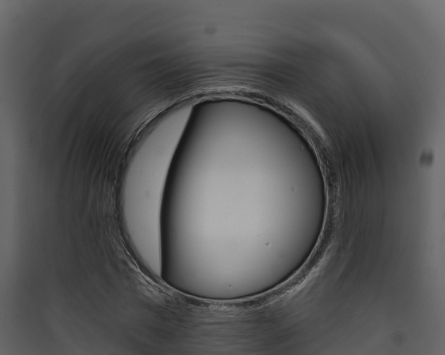 X0000090420777200707130946