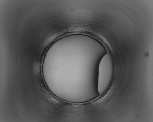 X0000090420778200707130946