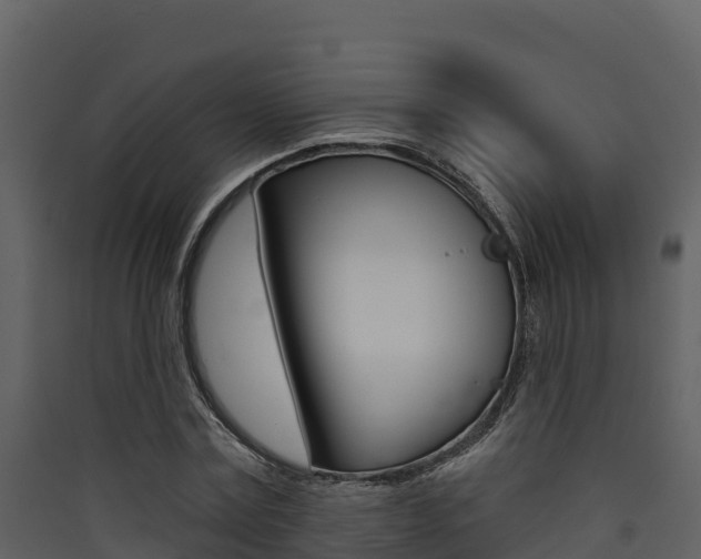 X0000090420779200707130946