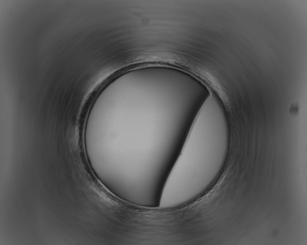 X0000090420780200707130946