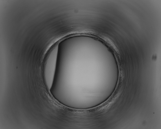X0000090420781200707130946