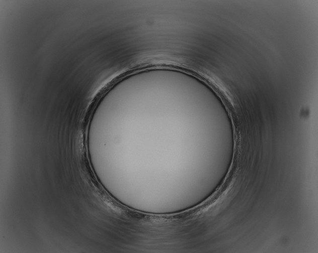 X0000090420782200707130946