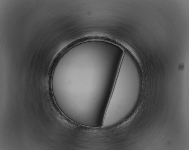 X0000090420783200707130946