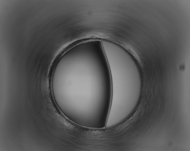 X0000090420784200707130945
