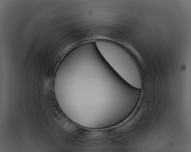 X0000090420785200707130945