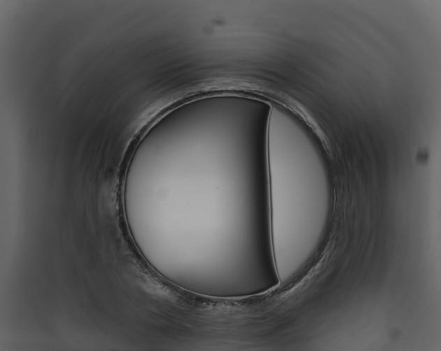 X0000090420786200707130945