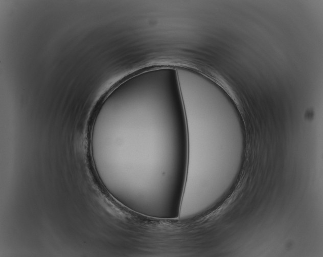 X0000090420787200707130945